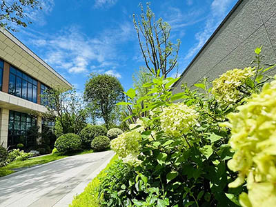 叶香林楼盘相册欣赏